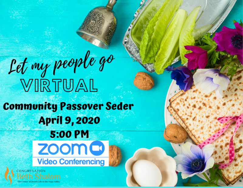 Banner Image for VIRTUAL CBS Community Seder 