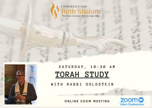 Banner Image for Virtual Torah Study with Rabbi Goldstein