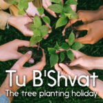 Tu B'Shvat, the tree planting holiday